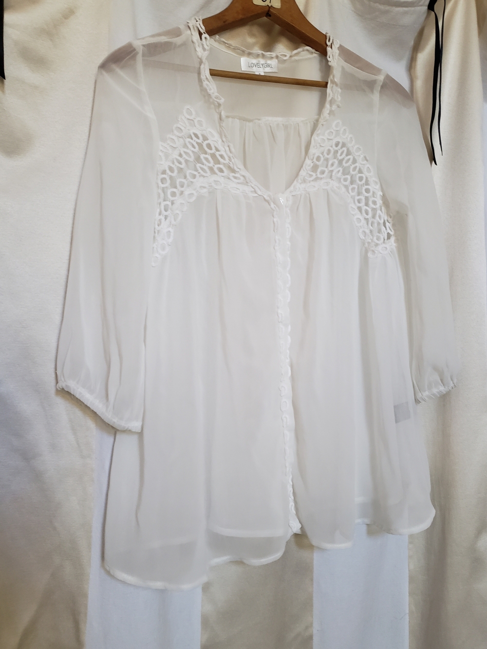 Lovely Girl Sheer Embroidered Blouse